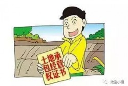 农村纠纷爆料案例范文最新,从矛盾爆发到和谐解决