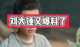 刘大锤最新爆料喜剧,爆笑喜剧背后的幕后故事