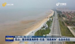 山东乳山市最新爆料,揭秘神秘事件背后的真相