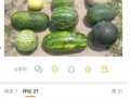 新瓜最新爆料图片,独家图片揭秘幕后真相
