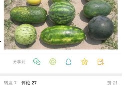 新瓜最新爆料图片,独家图片揭秘幕后真相