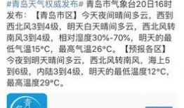周口最新爆料事件,惊人真相揭开神秘事件面纱
